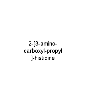 2-[3-amino-carboxyl-propyl]-histidine